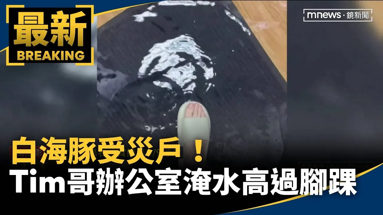 白海豚受災戶！　Tim哥「辦公室大淹水」　高度快沒過腳踝