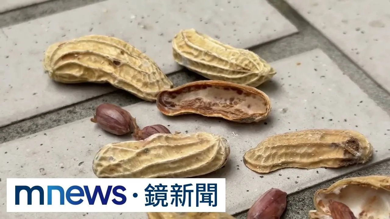 買到「發霉花生」！　客吃半包才驚見「白色菌絲」