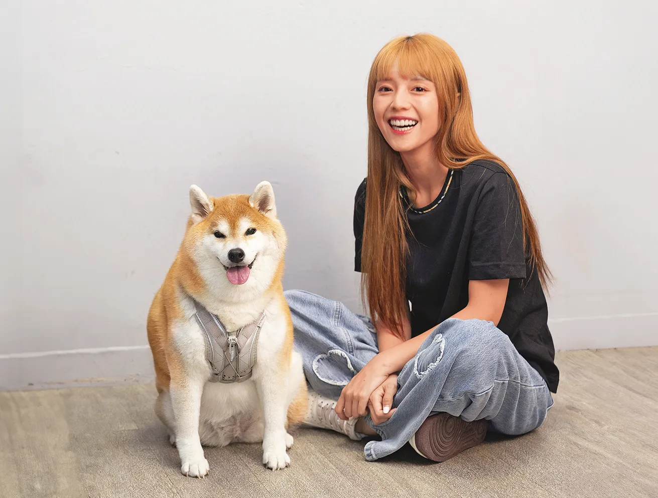熊爸估狗／柴犬聽雷聲皮皮挫　黃禹菡get白噪音矯治祕笈