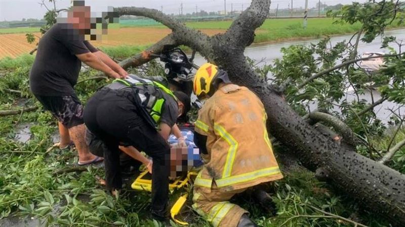 雲林縣今(11日)清晨傳出路樹倒塌事故。(翻攝畫面)