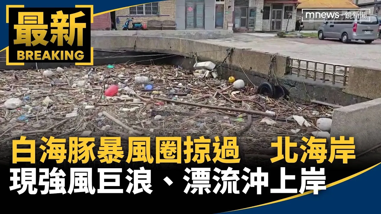 白海豚暴風圈掠過　北海岸現強風巨浪、漂流木全沖上岸