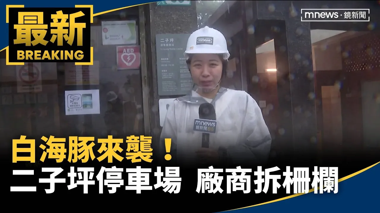 白海豚來襲！　二子坪停車場　廠商拆進出口柵欄