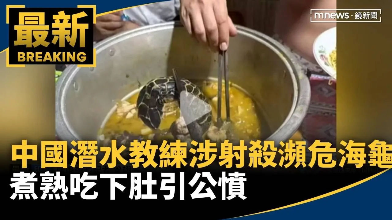 中國潛水教練涉射殺瀕危海龜　煮熟吃下肚引公憤