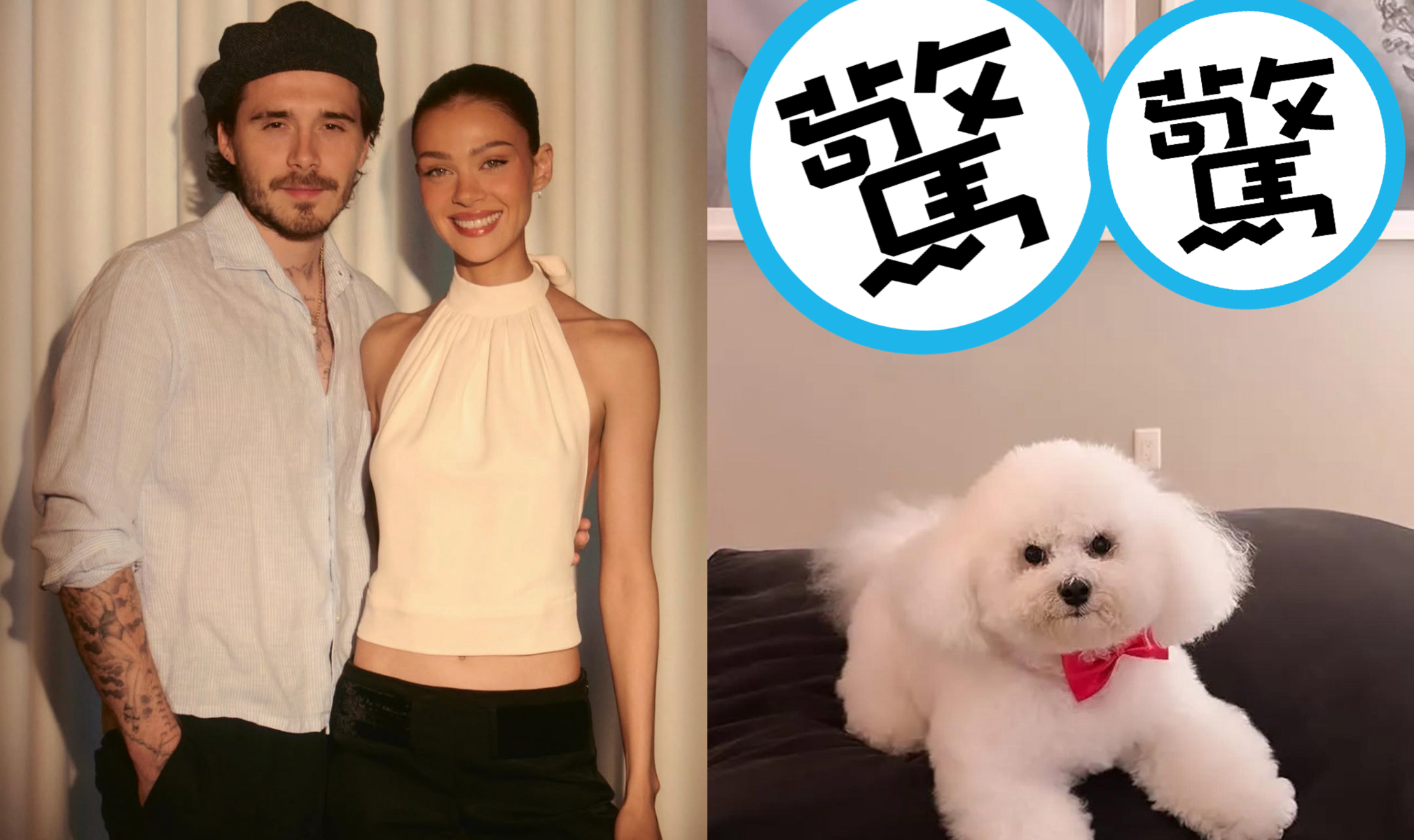 布魯克林與妻子妮寇拉(左圖)定居美國加州,近日妮寇拉一張愛犬照片(右圖)意外掀起話題。(翻攝nicolaannepeltzbeckham IG)