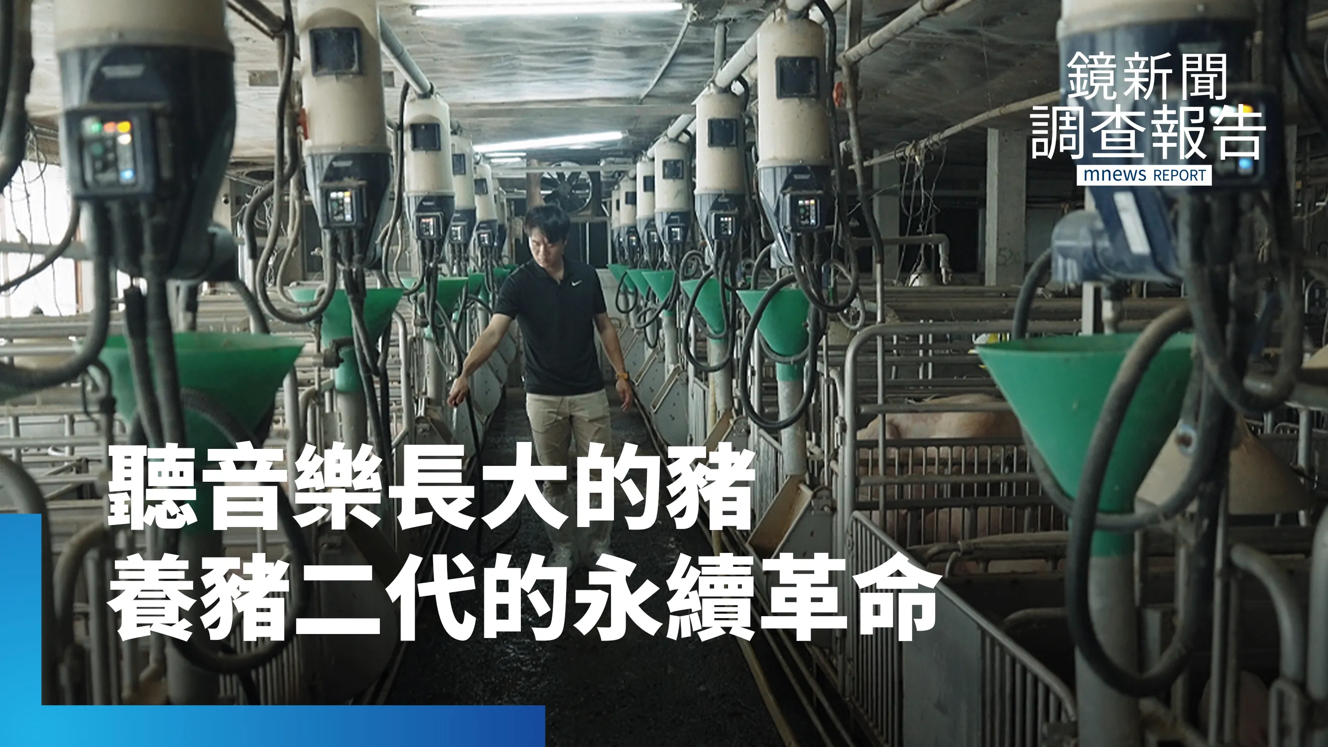 豬場翻身記！聽音樂長大的豬　養豬場裡的新世代革命　二代青農智慧管理打造永續新豬場