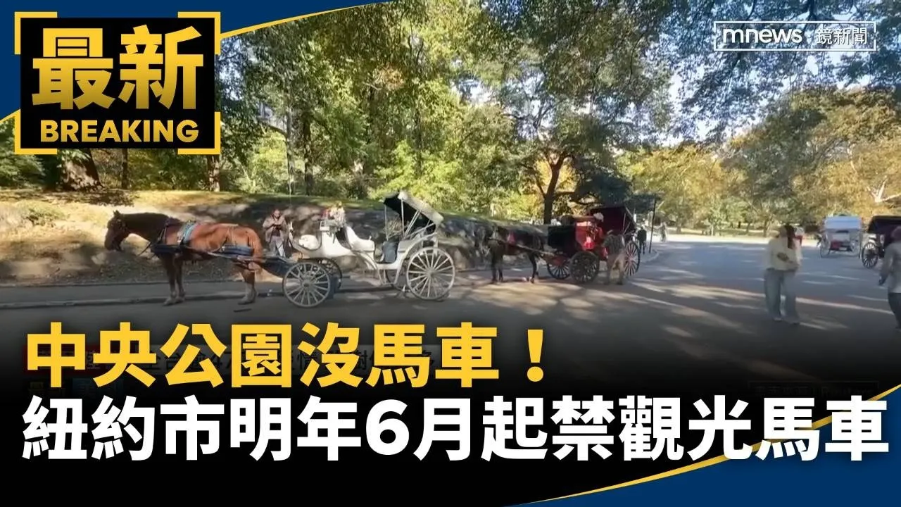 中央公園沒馬車！　紐約市明年6月起全面禁觀光馬車