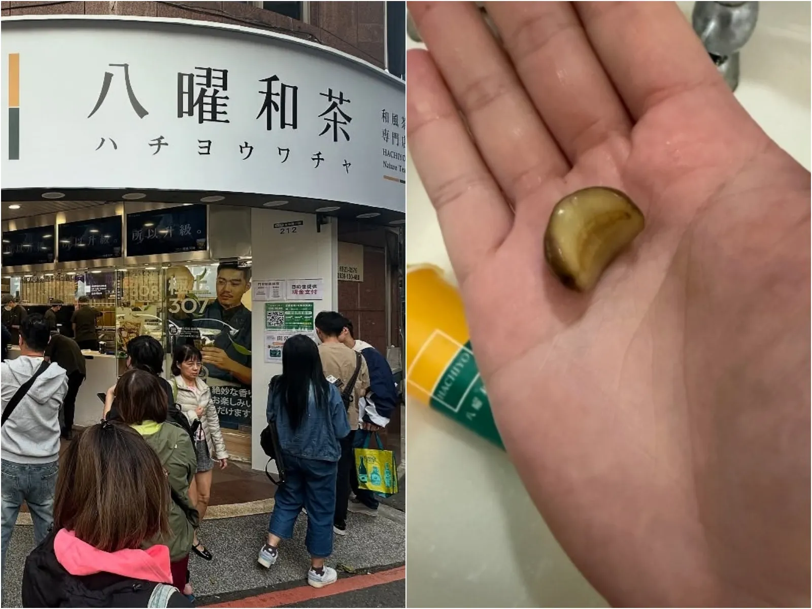 「梅子在動」手搖杯喝到活蛞蝓噁爆　八曜和茶調查結果出爐！未來處置方式曝