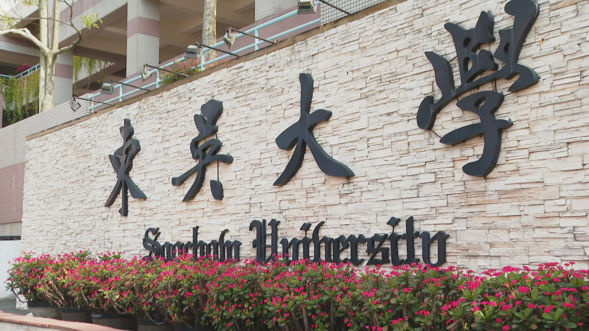 抗爭12年蔣公銅像移除了　東吳學生社團提3訴求：不應讓威權被紀念