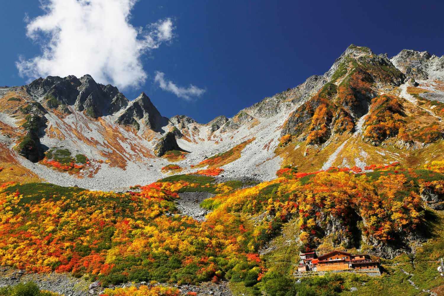 時序進入秋天,不少人出國登山健行賞楓,醫師提醒,前往海拔2500公尺以上地區,須留意高山症風險。圖為日本夢幻紅葉圈谷「涸澤圈谷」(涸沢カール)。(取自yamap.com)
