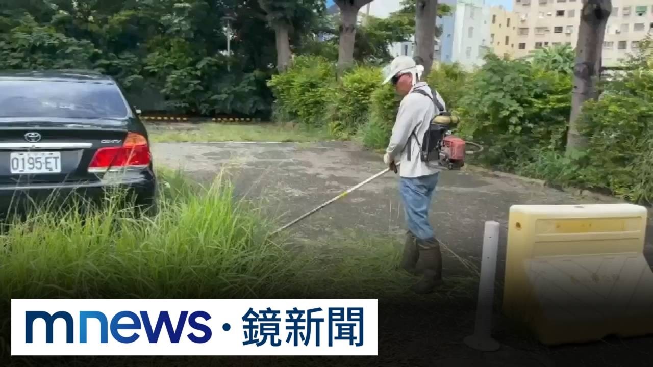 「北捷拆柱撤椅」惹怨　公所瞎扯「鬼月不除草」2／停車場雜草叢生！　公務員竟回：鬼月不宜除草