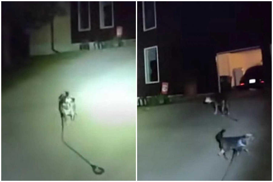 1名員警隨身密錄器完整記錄靈犬神救援主人的畫面。(翻攝自臉書@利伍德市警察局)