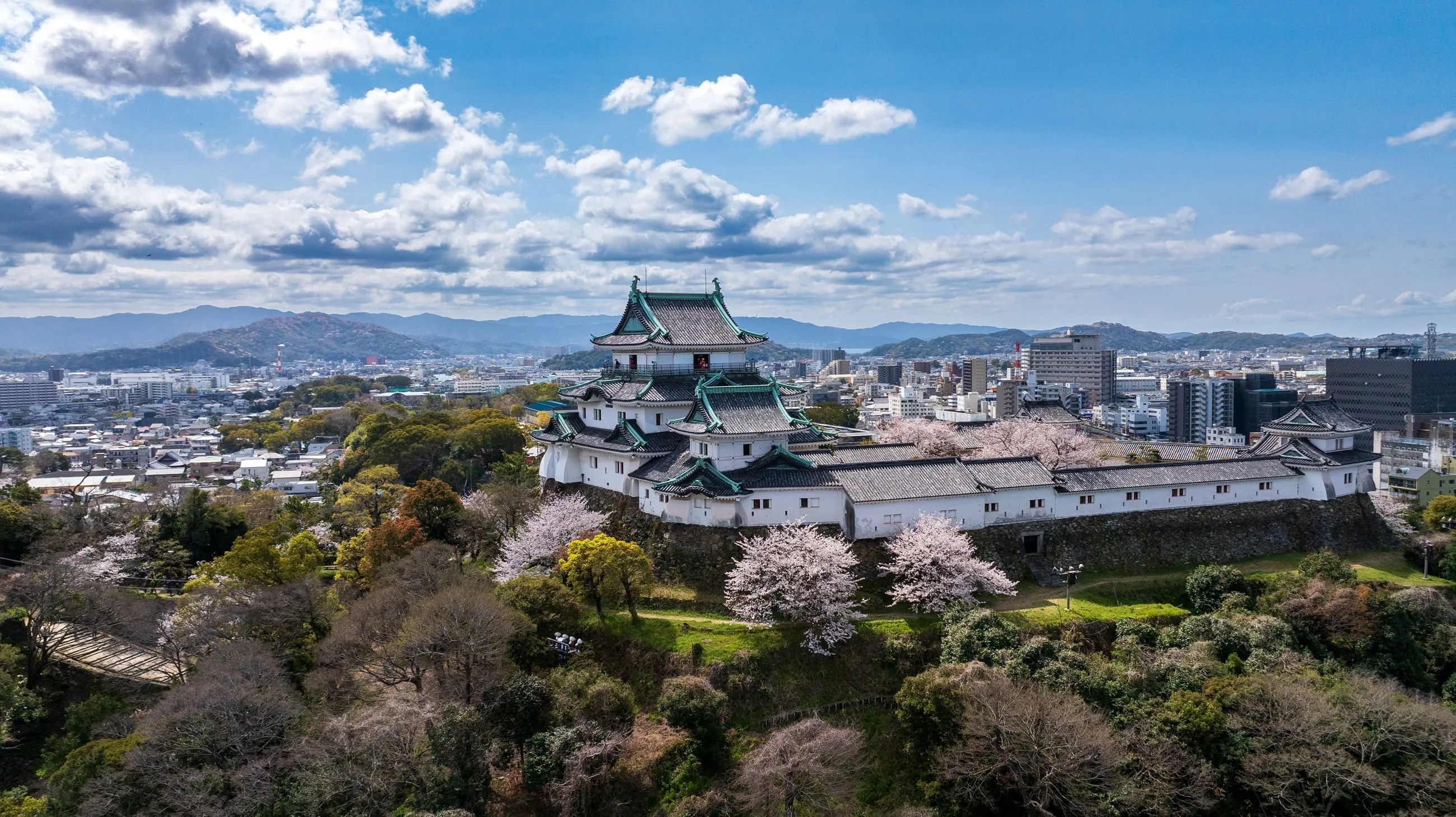 發財了！和歌山市收「市值破億」黃金捐款　指定1用途與豐臣秀吉有關