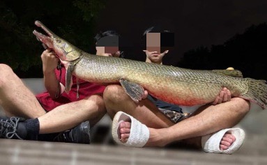 228公園吉祥物「鱷魚火箭」被吃掉,2人還爽發料理照。(翻攝自Threads)