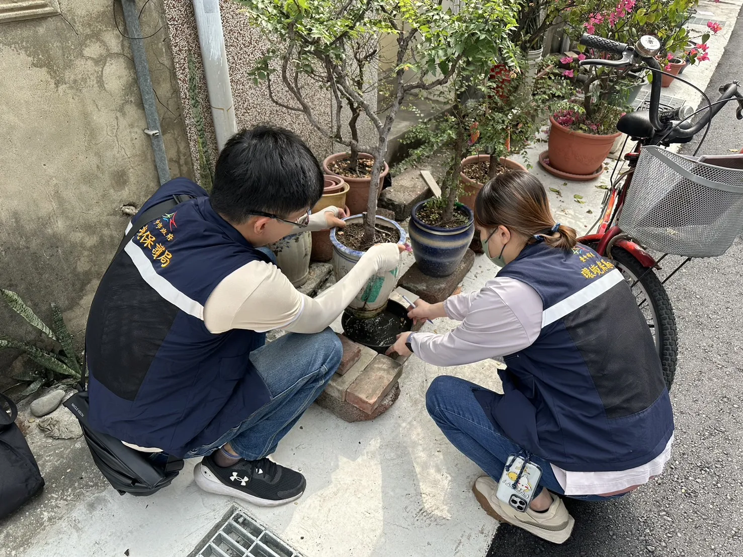 強聖嬰高溫來襲　「一關鍵」杜絕登革熱