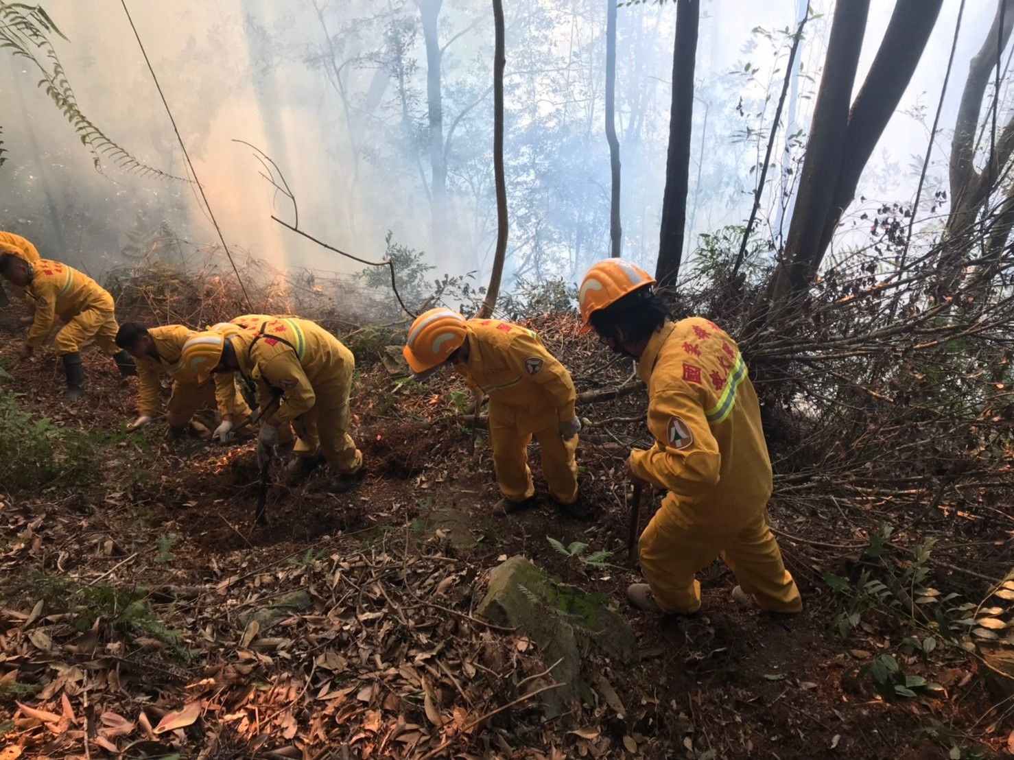 南投林管處提醒民眾,進行山林活動時勿任意引火,以免釀成火災。(南投林管處提供)