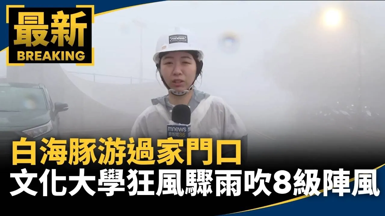 白海豚游過家門口　文化大學狂風驟雨吹8級陣風