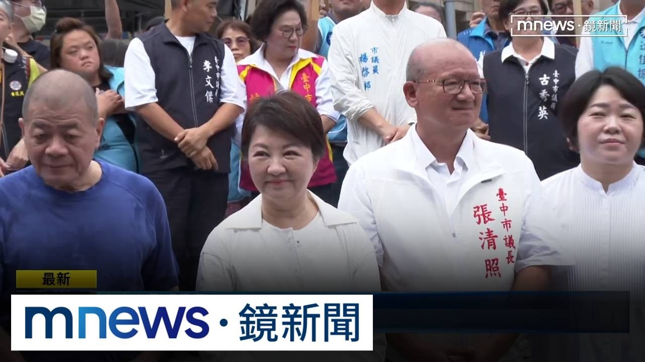 盧、江陪同30位議員登記　綠營議員為何欣純助陣