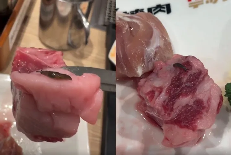 北車連鎖燒肉店驚見「活蛞蝓在生肉上爬」　店員竟淡定吐1句...網嚇壞：會出人命