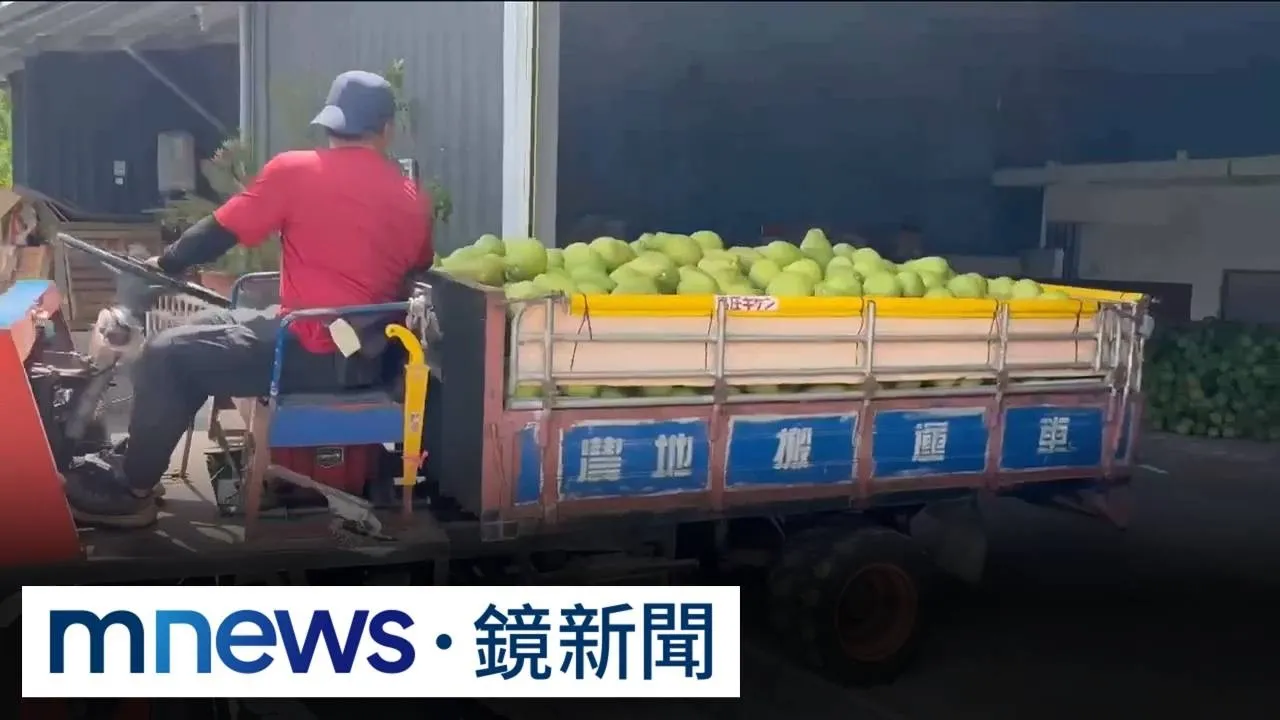 中國片面開放花蓮文旦！縣府稱透過傅崐萁　農業部示警