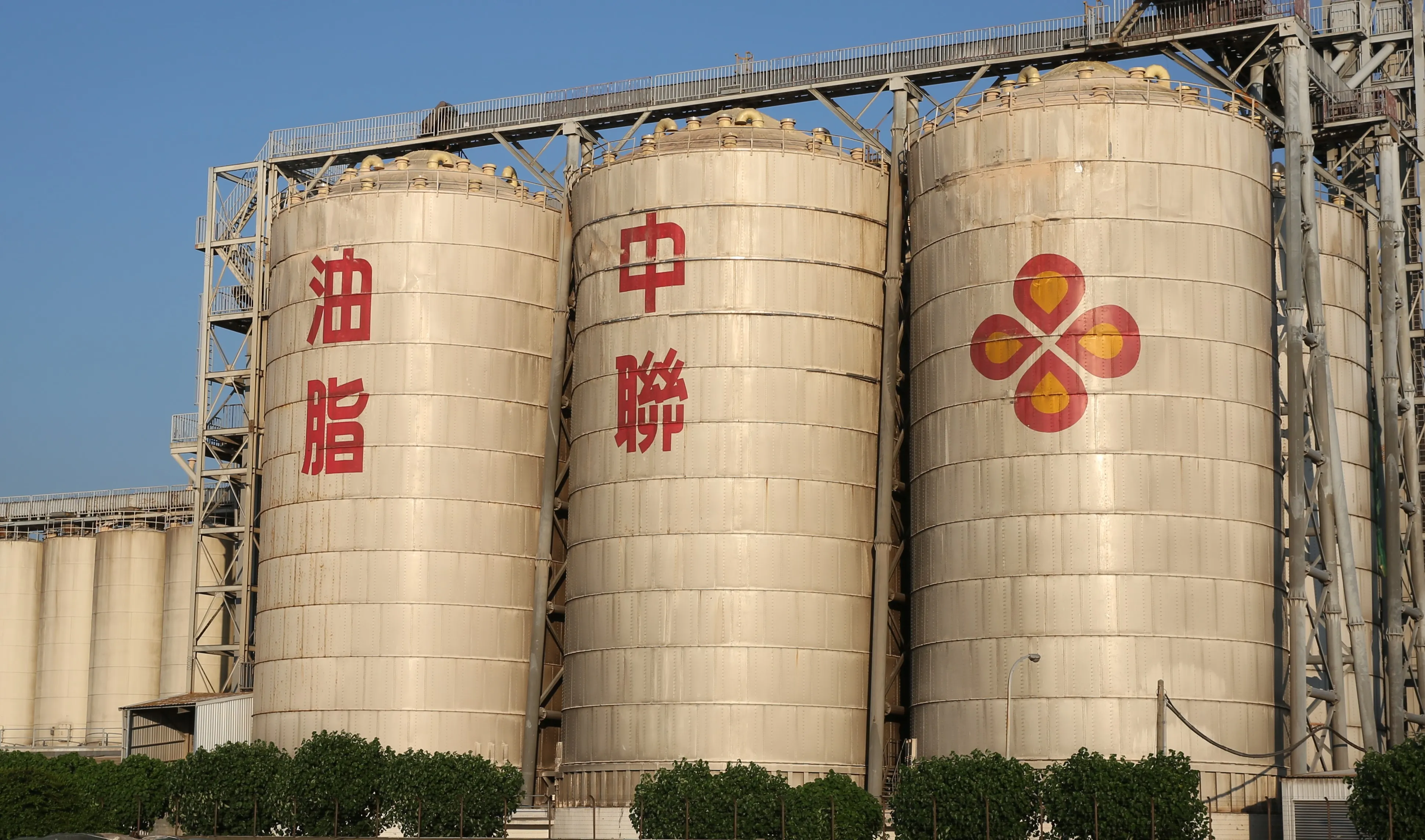 台糖5月曾通報中聯油品出問題？　食藥署澄清：未接獲任何通報