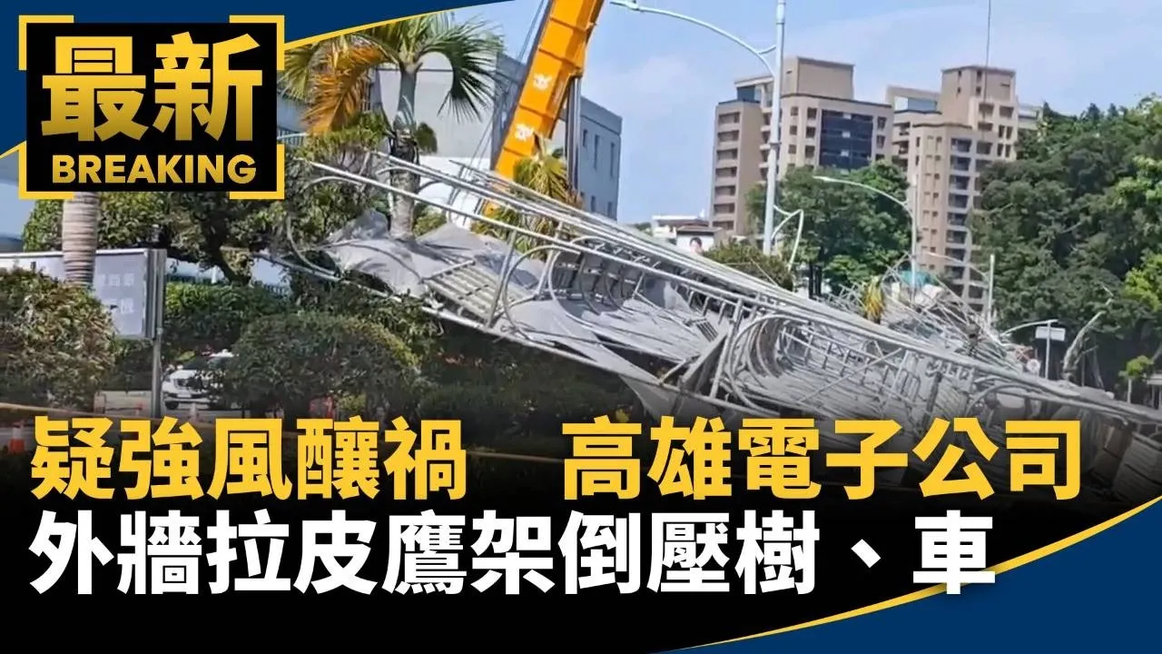 疑強風釀禍　高雄電子公司外牆拉皮鷹架倒壓樹、車