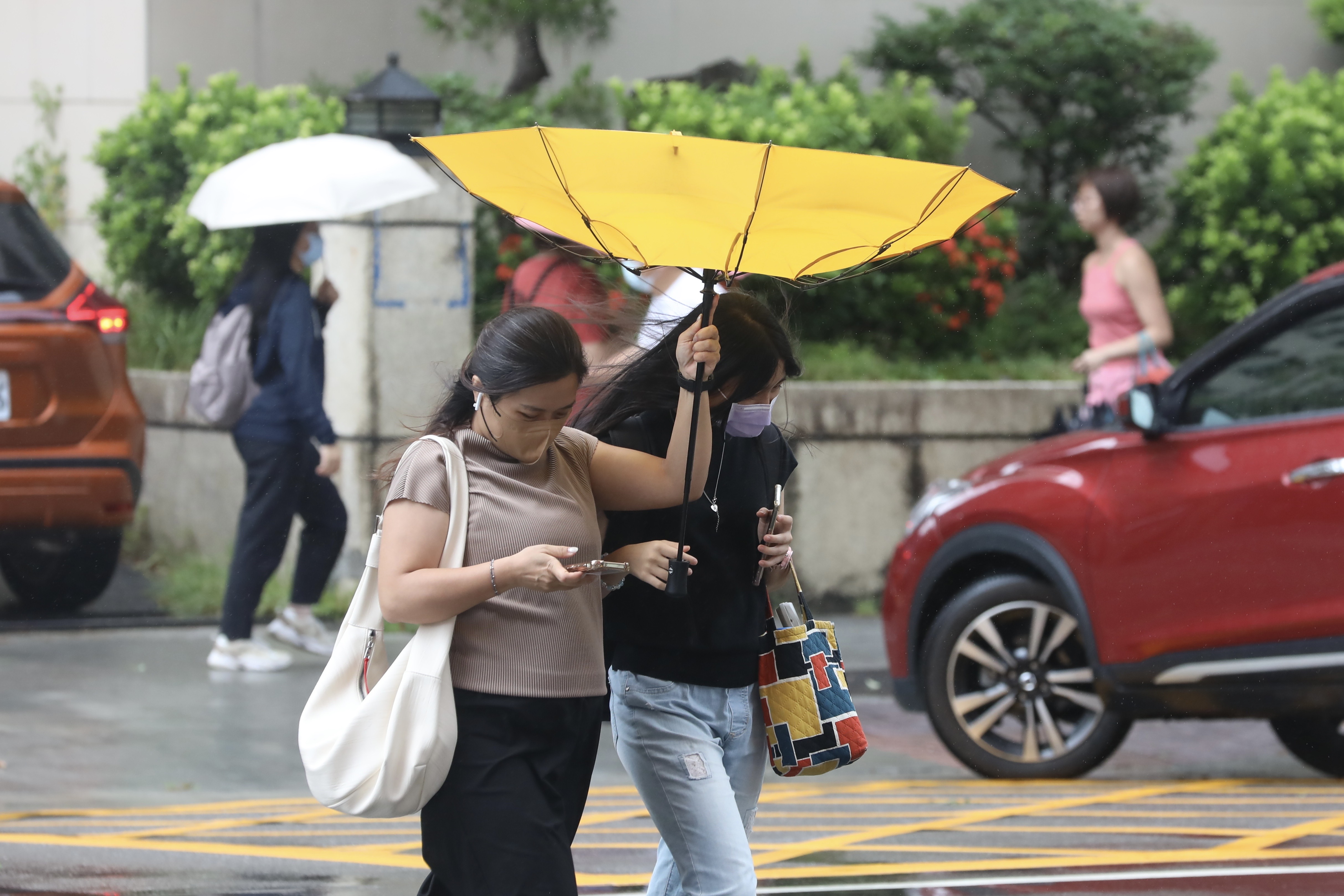 專家曝「下週恐有颱風」對台影響機率曝光。(示意圖,鏡報林煒凱)