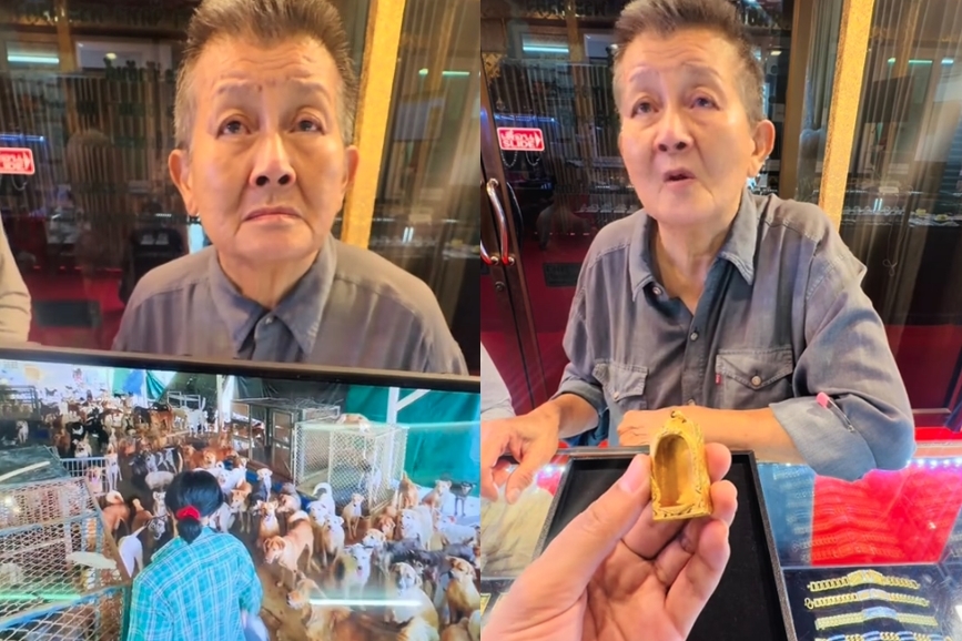 曾經坐擁數億泰銖身家的泰國「流浪動物天使」蒂姆阿嬤,將珍藏多年的黃金佛牌框送進珠寶店熔解變賣,只為籌措照顧1700多隻流浪貓狗的飼料與醫療費。(翻攝自@tiktok)