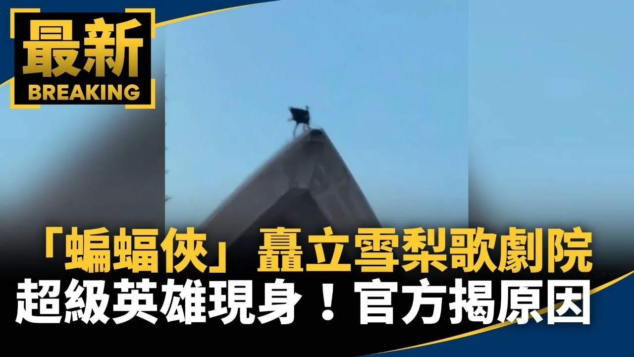 超級英雄現身！「蝙蝠俠」矗立雪梨歌劇院　官方揭原因