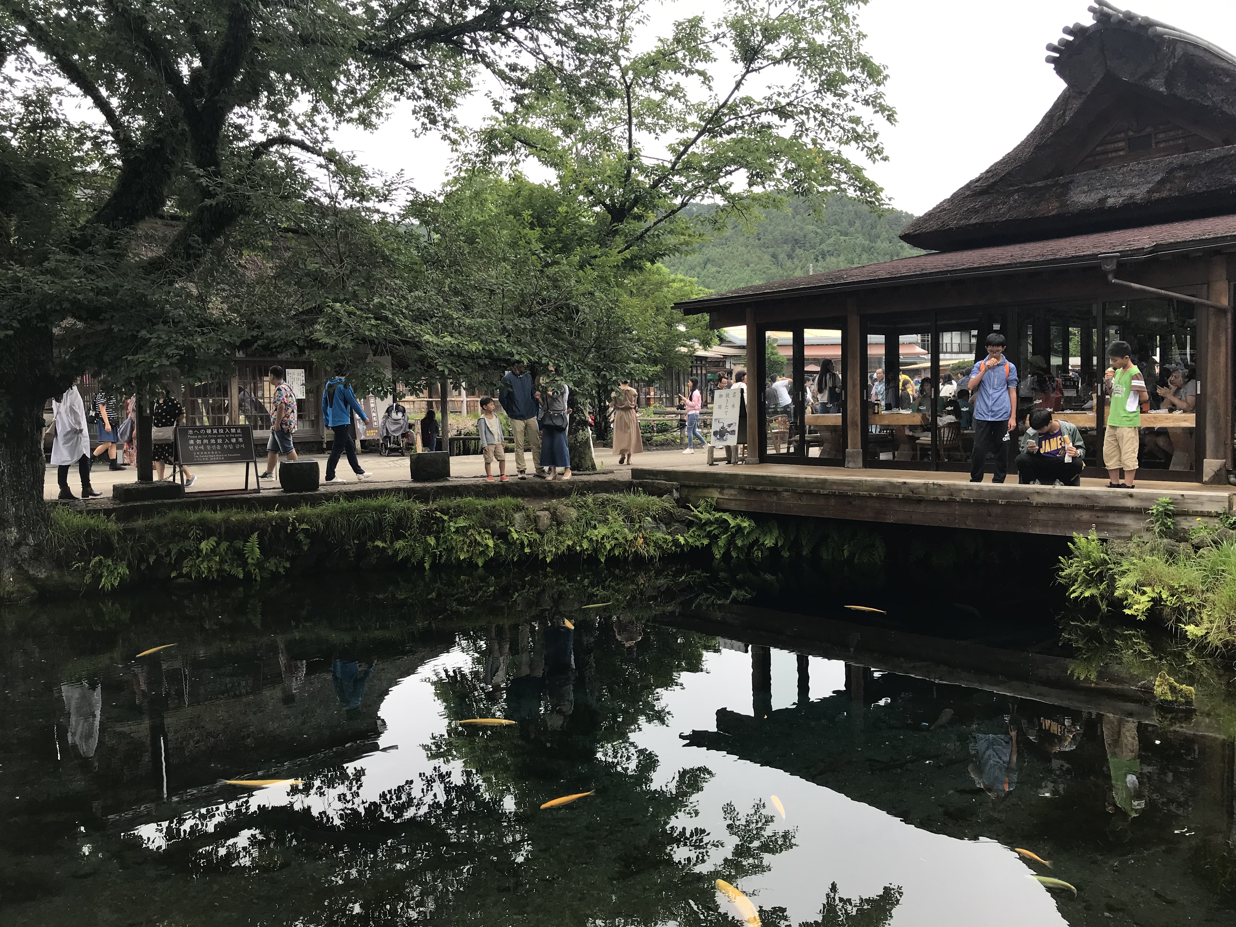 富士山知名景觀「忍野八海」的池塘因為太多遊客喜歡丟硬幣,造成環境問題。(資料照)