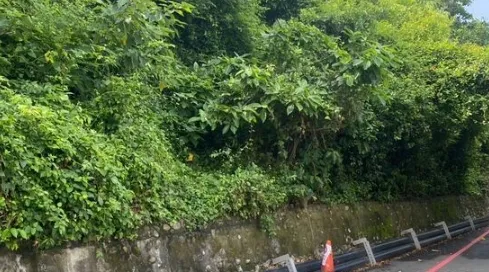 生前留「詭異紙條」謎樣內容曝　警衛巡邏驚見中山大學男大生陳屍校內停車場樹叢