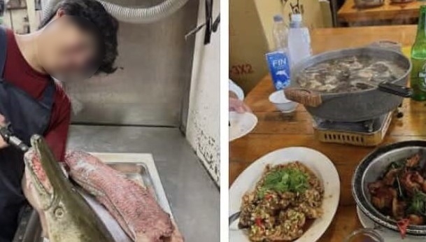 成大釣魚社發文分享北市228公園的鱷雀鱔被抓去熱炒店煮來吃,引發網友撻伐。(翻攝臉書)