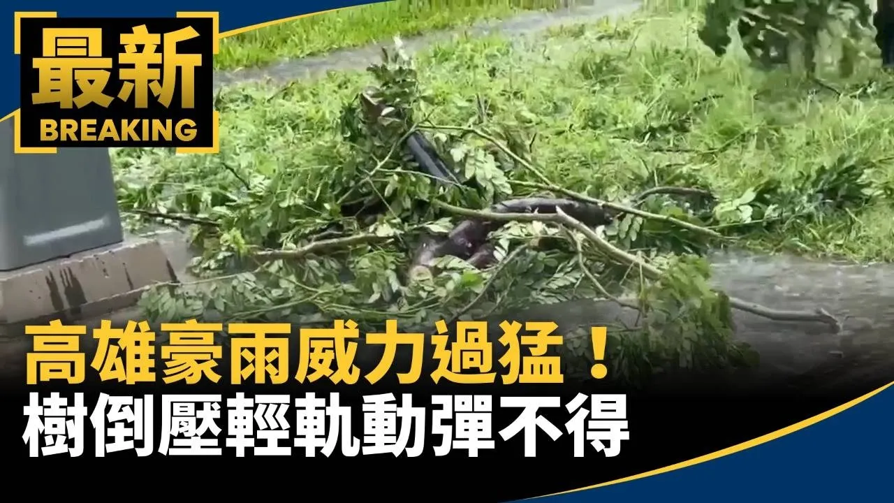 高雄豪雨威力過猛！　樹倒壓輕軌動彈不得