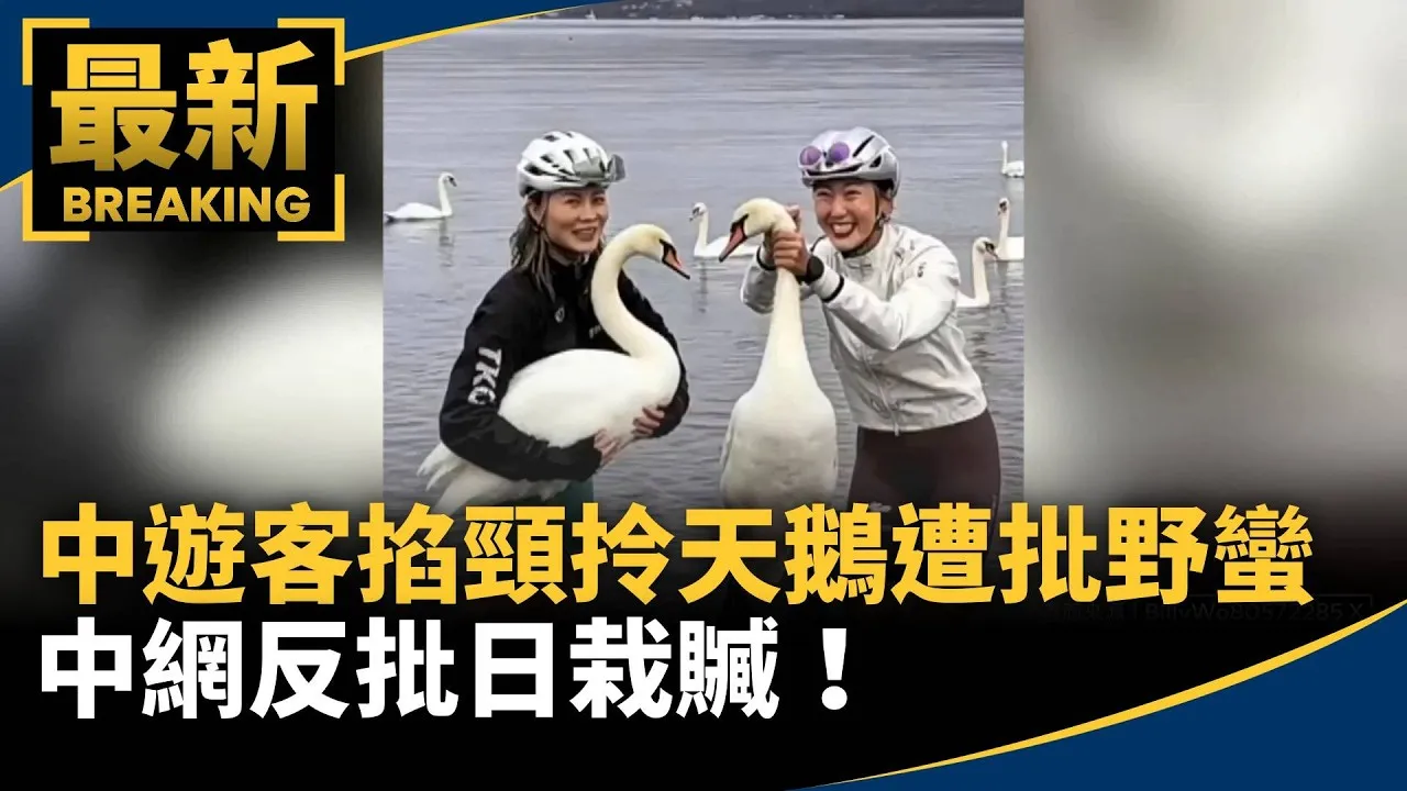 中遊客富士山「掐頸拎天鵝」遭批野蠻　中網反批日栽贓！