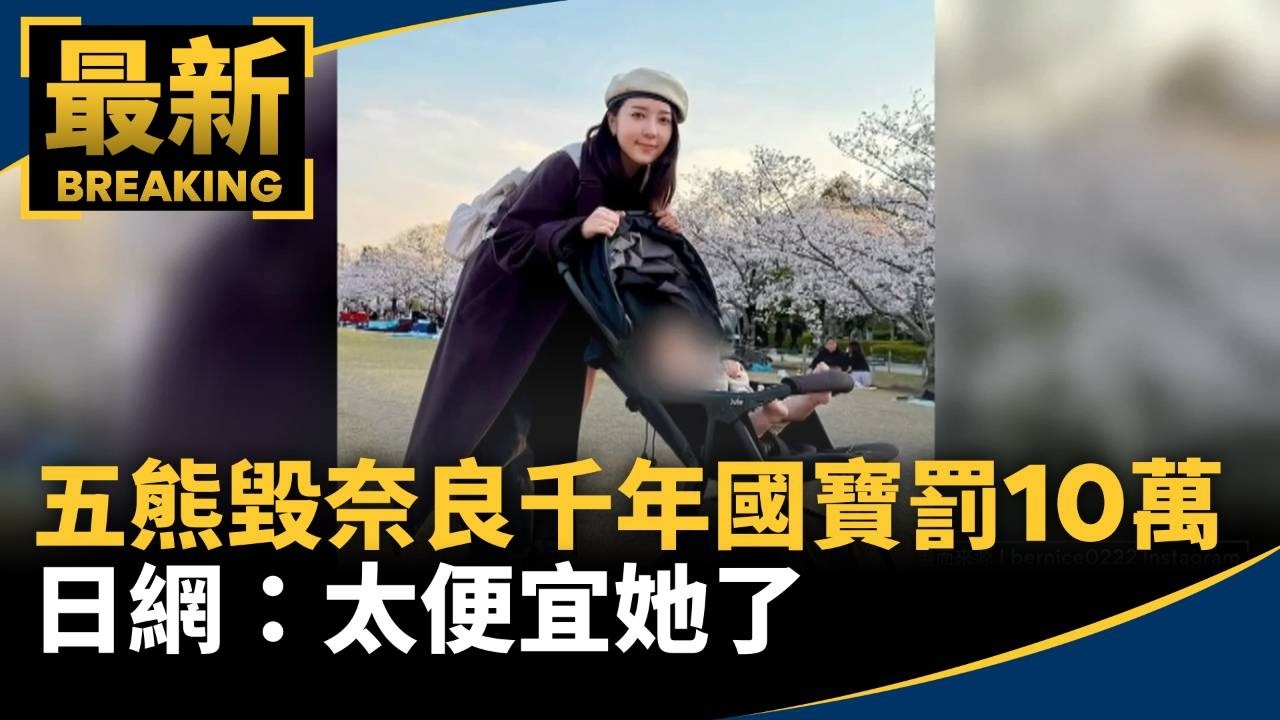 五熊獲釋認愚昧無知　鍾明軒禁區空拍重罰1／ 五熊毀奈良「千年國寶」才罰10萬　日網：太便宜她了