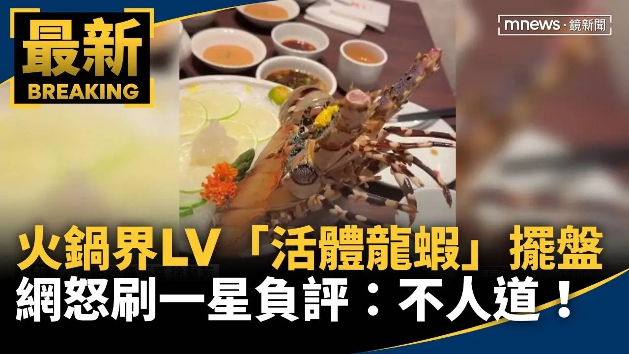 火鍋界LV「活體龍蝦」擺盤　網怒刷一星負評：不人道！