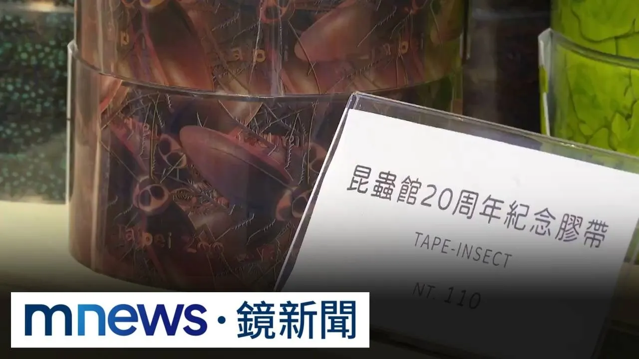 怎麼有蟑螂！　北市動物園「文創膠帶」逼真程度太高意外爆紅
