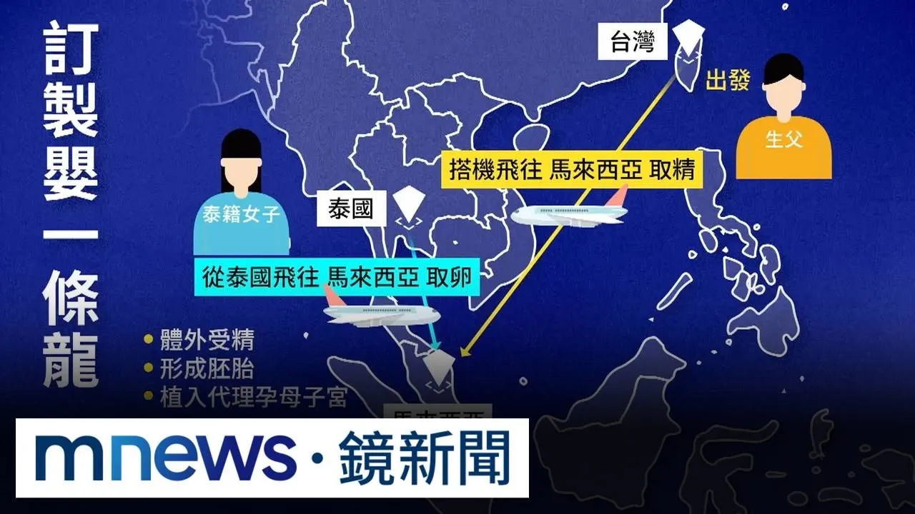 跨國「訂製嬰兒」一條龍　22台男委託產下25新生兒