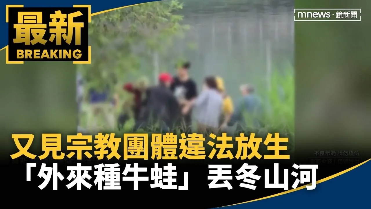 又見宗教團體違法放生　「外來種牛蛙」丟冬山河