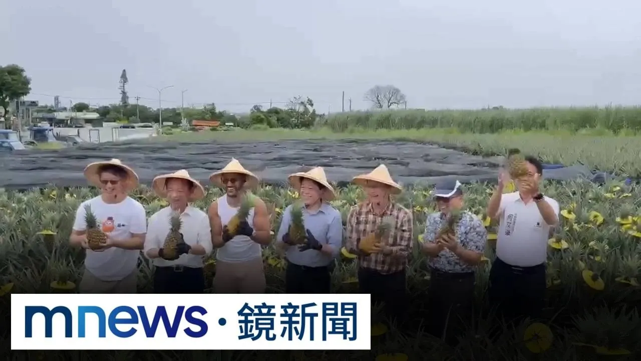 台灣鳳梨前進法國拉法葉百貨　網紅民雄鳳梨田直接試吃