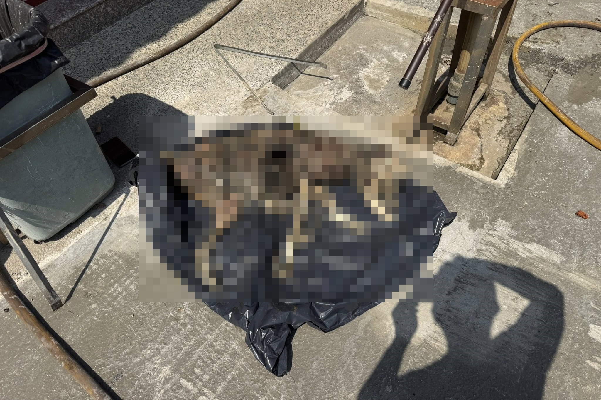 彰化市近日發生的杜告犬「健康」疑遭虐死案。(翻攝自社團法人新竹縣流浪動物珍愛協會臉書)