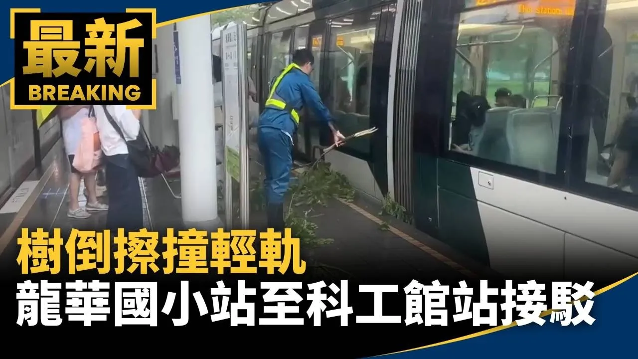 樹倒擦撞輕軌　龍華國小站至科工館站啟動接駁