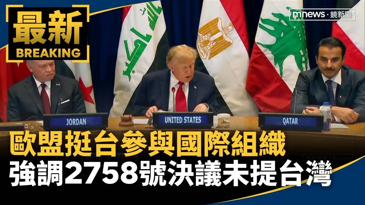 歐盟挺台參與國際組織　強調2758號決議未提台灣