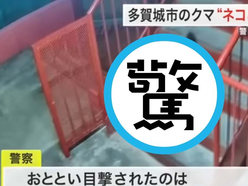 一個碩大的黑影從樓梯間快速跑過,讓民眾嚇得趕緊報警。(翻攝自仙台放送ニュースチャンネルYouTube)