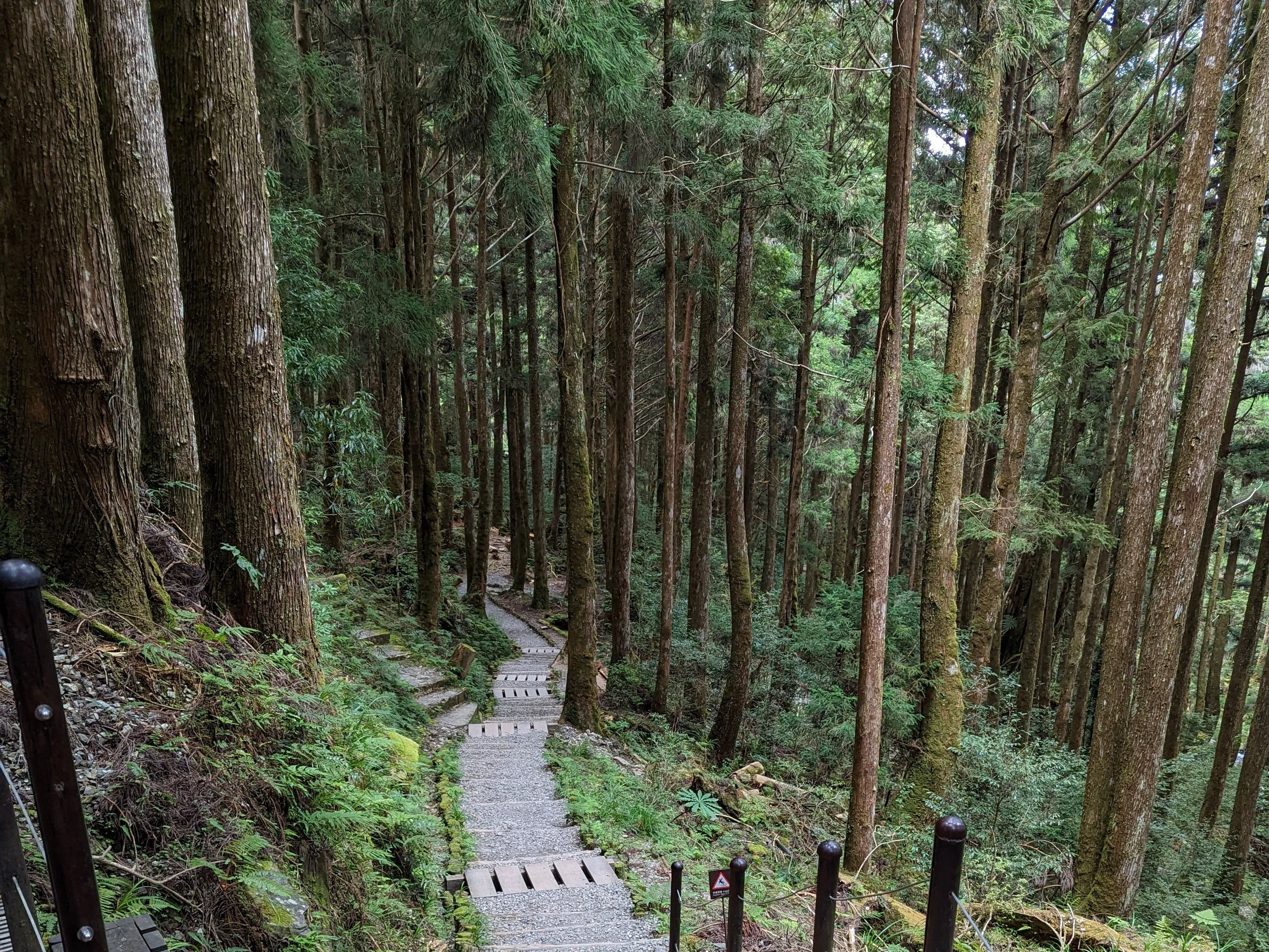 58歲男爬山6小時「口渴才喝水」！　隔天尿出濃茶色急性腎衰竭
