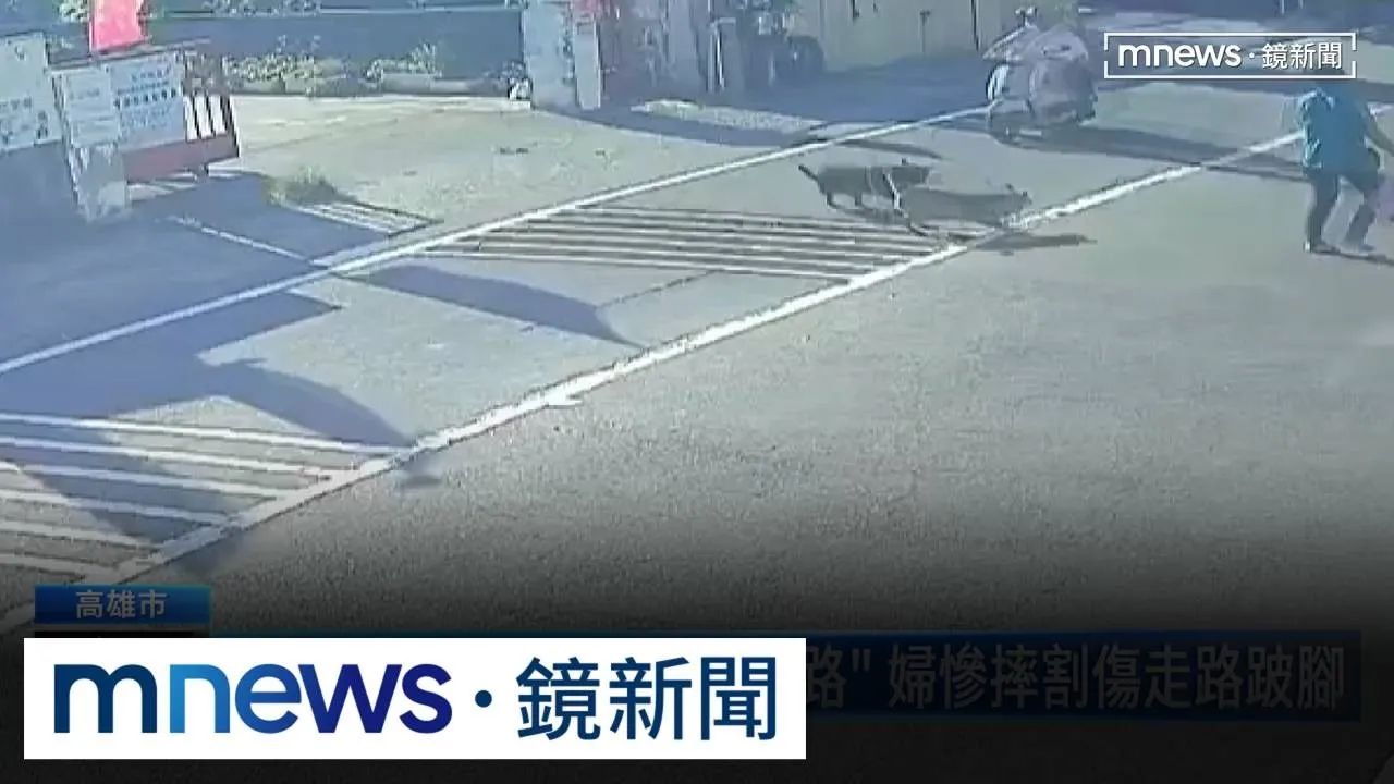 騎半路「2隻狗突衝出」來不及閃　婦載孫女摔車臉割傷