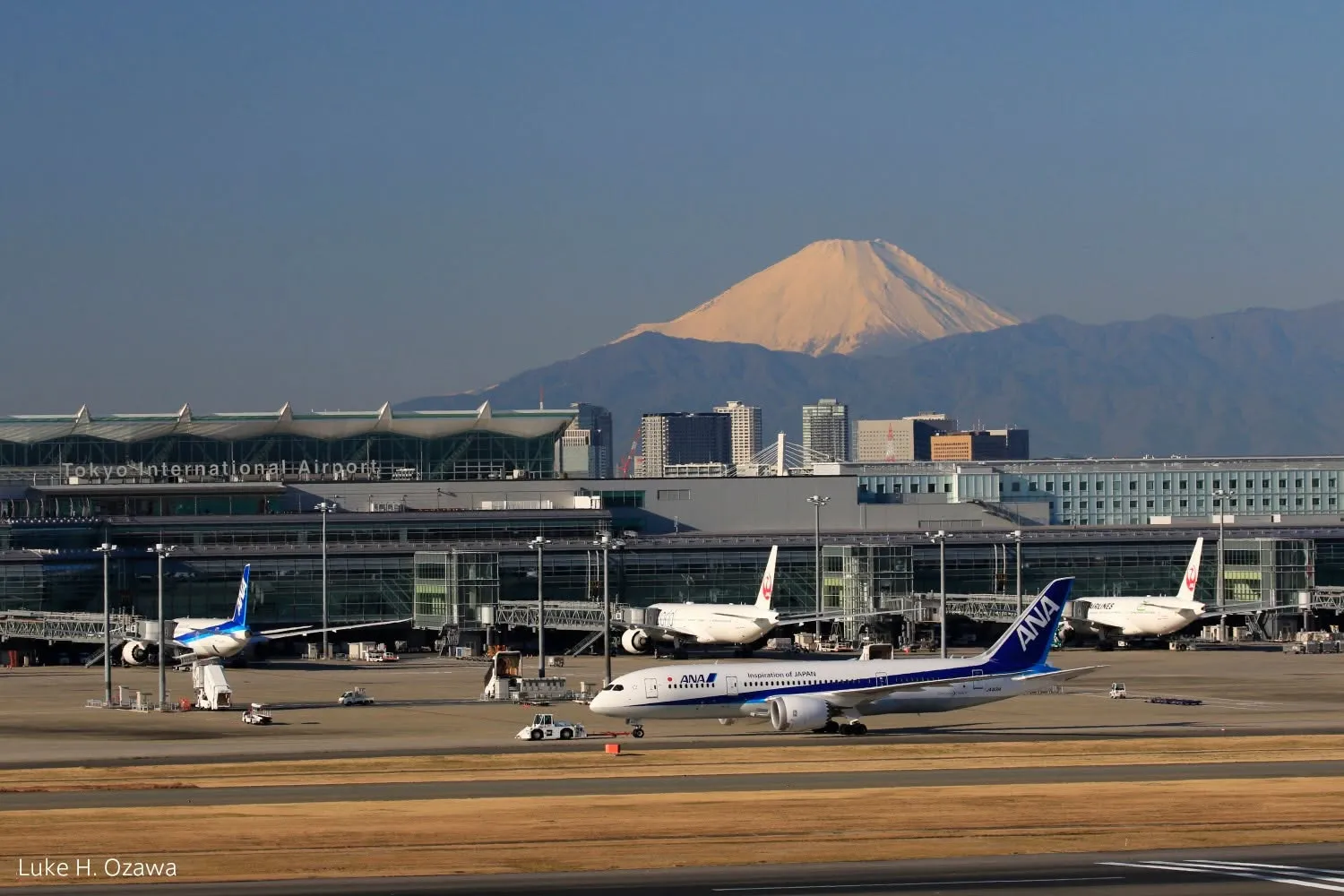 轉搭日本國內線注意！羽田機場重要變革　6大航空行李提前10分鐘關櫃