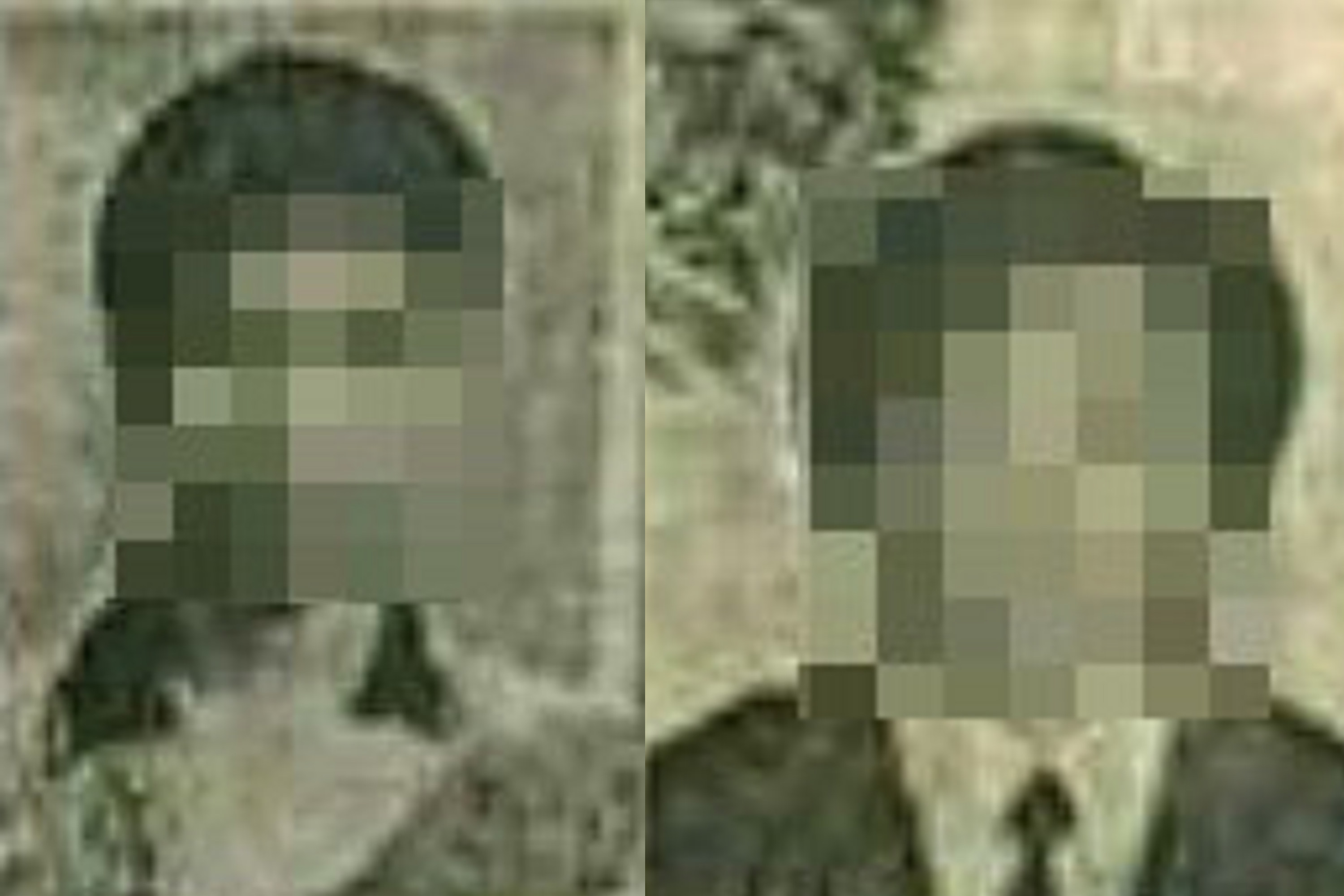蘇春柑不只打死父親,還用同樣手法奪走男友及信徒的生命。(翻攝畫面)
