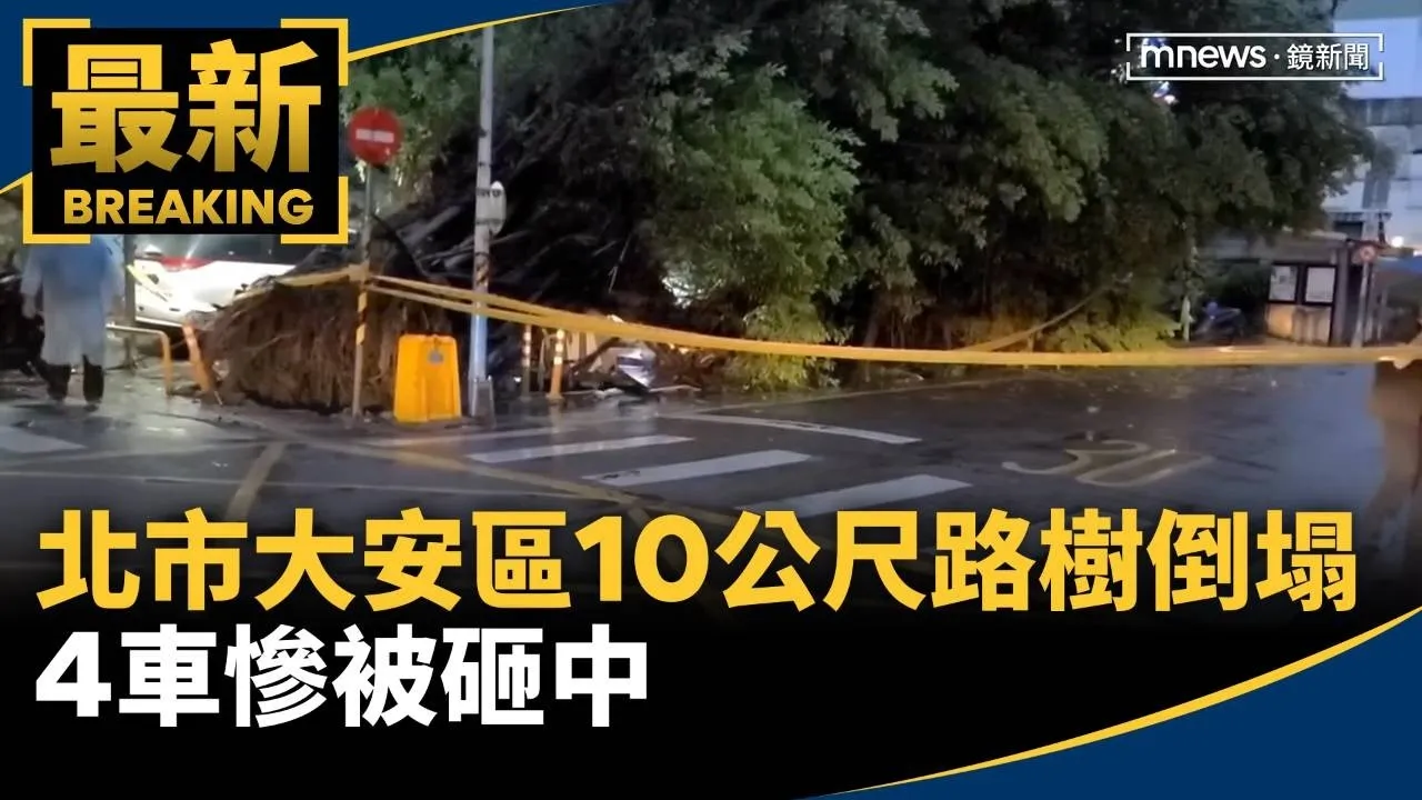 北市大安區「10公尺高路樹」倒塌　4車慘被砸中