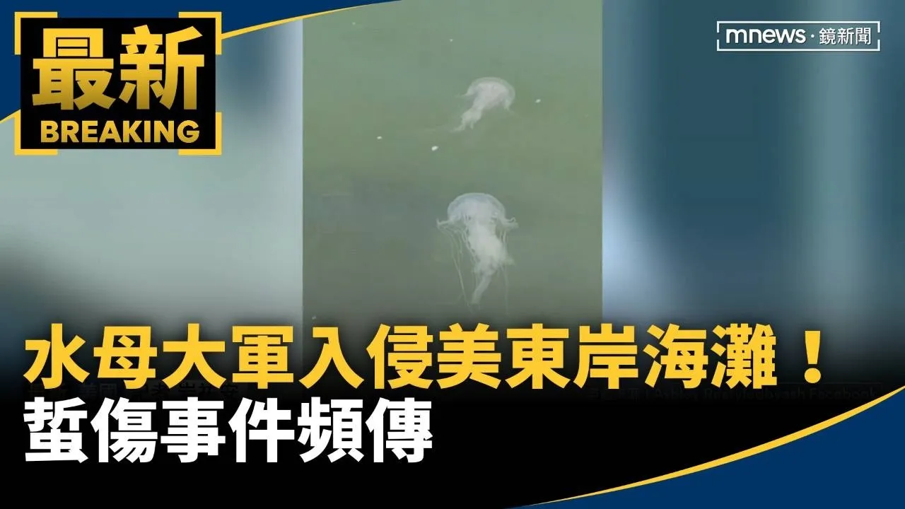 水母大軍入侵美東岸海灘！　蜇傷事件頻傳