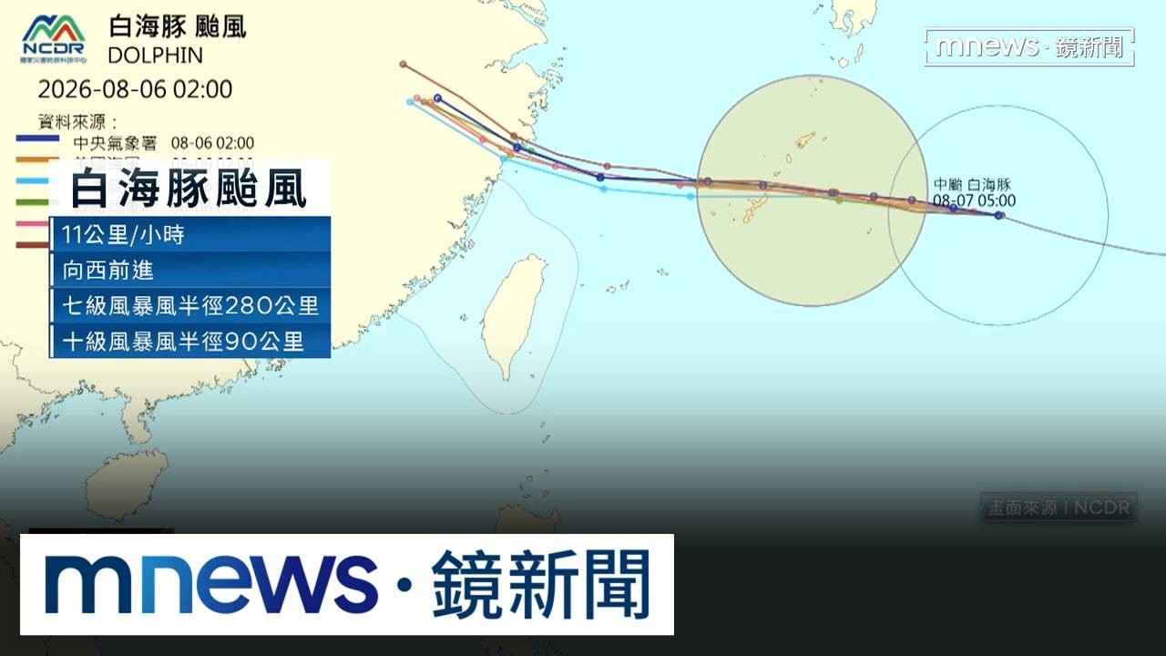 白海豚亂父親節！氣象署發布「海警」　北部海面警戒中